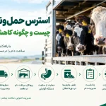 استرس حمل‌ونقل گاو