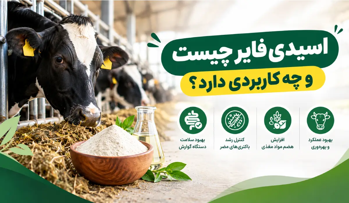 اسیدی فایر چیست و چه کاربردی دارد؟