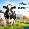 بهترین نوع دامپروری