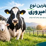 بهترین نوع دامپروری