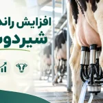 افزایش راندمان شیردوشی