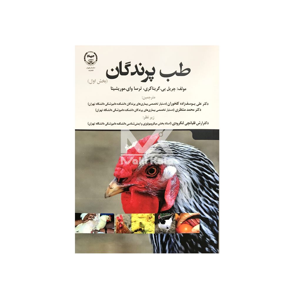 کتاب طب پرندگان (بخش اول)