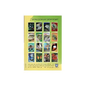 کتاب مرغ عشق استرالیایی